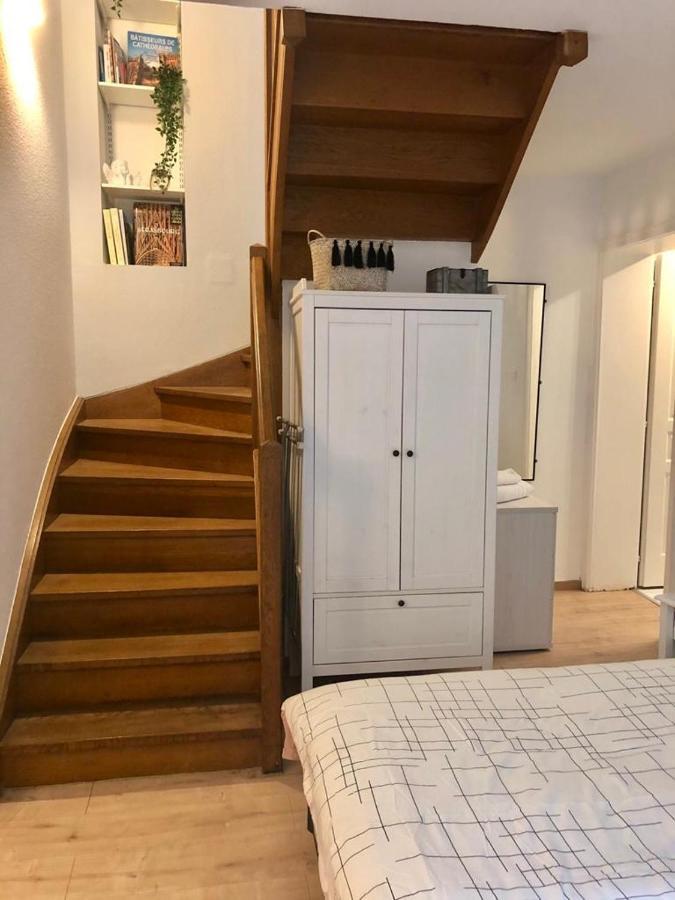 斯特拉斯堡New Duplex De Charme Au Pied De La Cathedrale Carre D'Or公寓 外观 照片